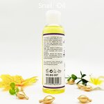 Whitening Oil Manufacturer - Beauty Girl Snail