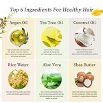 Hair Shampoo Set Manufacturer - Wholesale Grapefruit