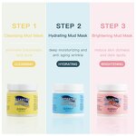 Mud Mask Manufacturer - Purifying Lightening OEM