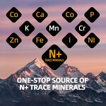 Shilajit Resin Extract Manufacturer - Hot Selling