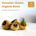 Maca Ginseng Capsules Manufacturer - XXXXL Energy