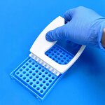 PCR Tube Opener Supplier - 8-Row Centrifuge with Screw Cap