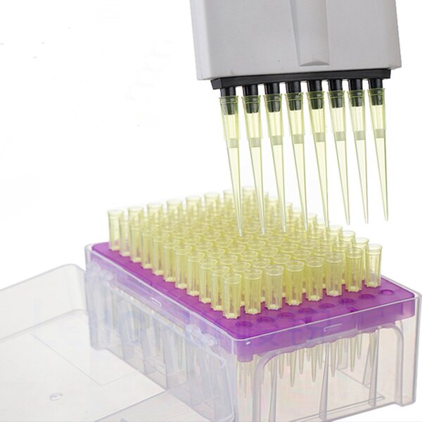 Sterile Pipette Tip Factory - Filter 10ul-1000ul No Enzyme