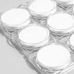 Hydrophobic PTFE Membrane Manufacturer - 0.1-5.0um Microporous