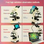 Binocular Microscope Factory - 40X-5000X with Monitor Output