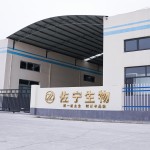OEM Adult Healthcare Supplement Joint Bone Elevation Growth Glucose Tablets Knee Pain Relief