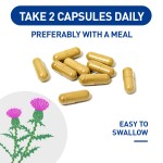 OEM Private Label Milk Thistle Capsule Antioxidant Dietary Supplement for Liver Health and Anti-Aging for Teenagers