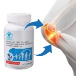 OEM Adult Joint Bone Fiber Supplement with Chondroitin Relief for Knee Pain Softgel Capsule Dosage Cross Border Supplement