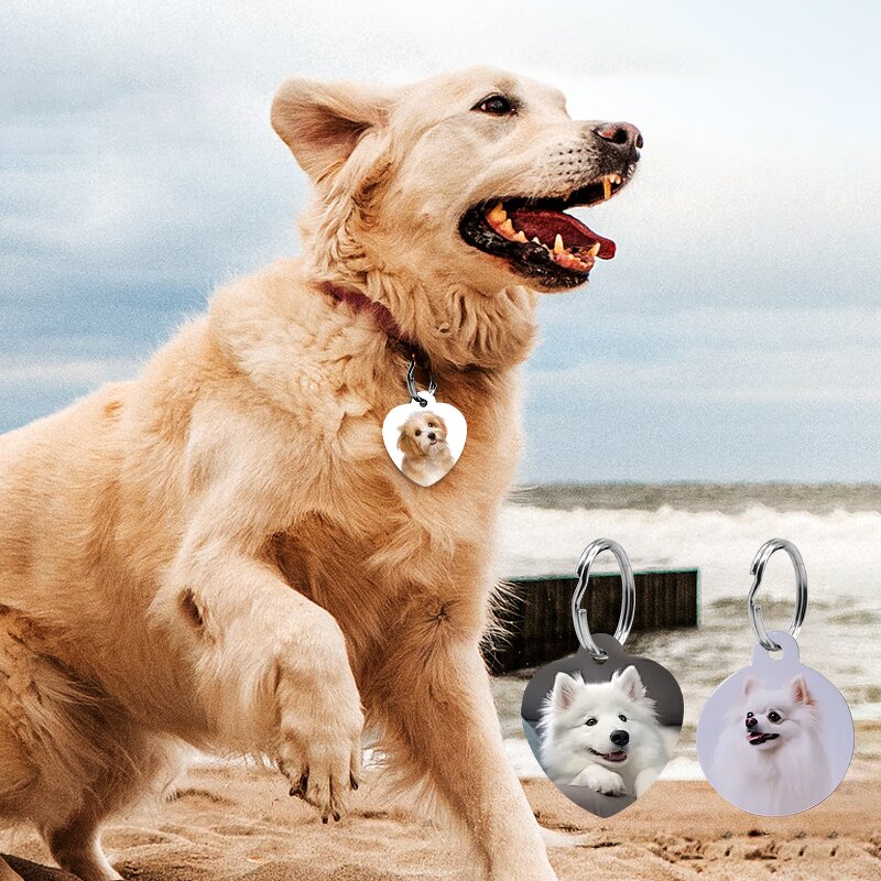 Dog Tag Manufacturer - Double-sided Sublimation Aluminum Pet ID Pendant