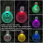 Christmas Ornament Manufacturer - Sublimation Blank Acrylic LED with Battery