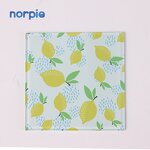 Glass Coaster Manufacturer - China Square Plain Glass Coaster with Rubber Feet