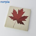 Ceramic Coaster Manufacturer - DIY Unglazed UV Printing Blank Coaster