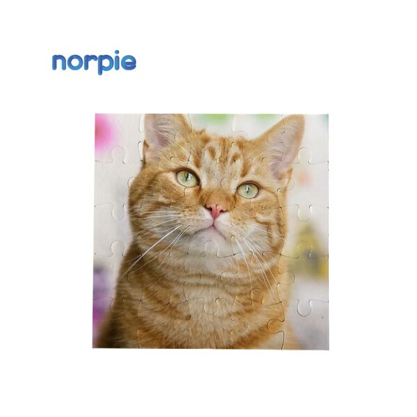 Jigsaw Puzzle Manufacturer - Kids 25pces Cardboard Paper Sublimation Puzzle