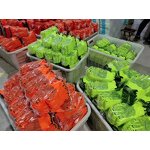 PVC Dots Garden Gloves Supplier - Wholesale Cheap Cotton Knit Coated Nylon