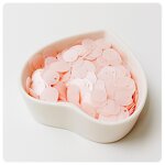 PVC Round Sequins Factory - OEM/ODM 10mm Side Hole for Earring Making