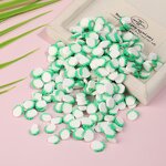 Polymer Clay Slices Manufacturer - 5mm Vegetable Fruit Slice DIY Decoration