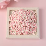 Polymer Clay Slice Manufacturer - Sakura Flower Slice Slime Decoration