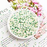 Polymer Clay Slice Factory - 5mm Daisy Flower for Nail Art Decoration