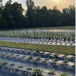 Spunbond Nonwoven Factory - Anti-UV Anti-Aging PP Fusible Ground Cover