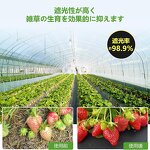 Landscape Fabric Manufacturer - Breathable Anti-UV Weed Mat Roll