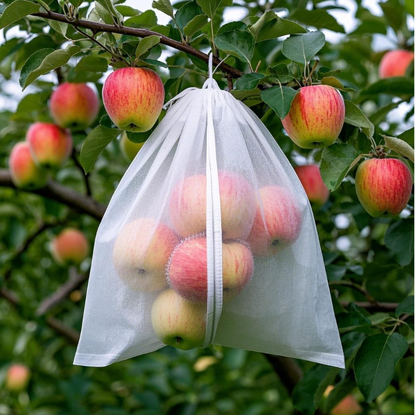 Fruit Cover Bag Manufacturer - Lightweight Peach Protection Waterproof