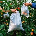 Fruit Cover Bag Manufacturer - Lightweight Peach Protection Waterproof