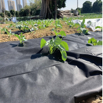 Agriculture Nonwoven Factory - PP Breathable Eco-Friendly Anti-Grass Mat