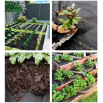 Non Woven Fabric Factory - 100% Virgin PP UV Resistant Tomato Weed Barrier