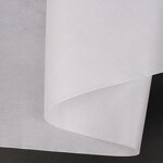 PET Nonwoven Fabric Manufacturer - Peanut Texture 15-100GSM 2400mm Width