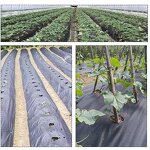 Degradable Ground Cloth Manufacturer - Weeds Control with Hole for Garden