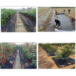 Weed Barrier Fabric Manufacturer - 40gsm Spunbond Ground Cover Garden