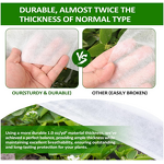 Plant Cover Manufacturer - Biodegradable 3% UV Spunbond PP Winter Cover