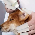 Finger Cots Factory - 100pcs Multi-Color Disposable Anti-Slip Latex