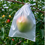 Fruit Cover Bag Manufacturer - Lightweight Peach Protection Waterproof