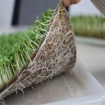 Jute Felt Manufacturer - Organic Micro-Vegetable Seedling Cultivation Pad