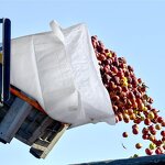 Massage Table Sheet Factory - 40x70cm Disposable Spun-Bonded Non-Woven