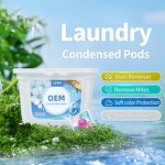 Laundry Capsules Manufacturer - Factory Price Eco-Friendly 12g 5-in-1 Color Protection