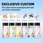 Pine Scent Booster Manufacturer - Best-Selling Eco-Friendly Organic Odor Neutralizer Travel Kit