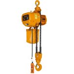 Electric Chain Hoist Manufacturer - 1-15 Ton with Remote Control Customizable