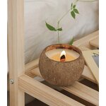 Aromatherapy Candles Manufacturer - Luxury Novelty Aroma Coconut Shell Home Fragrance