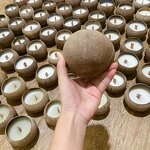 Aromatherapy Candles Manufacturer - Luxury Novelty Aroma Coconut Shell Home Fragrance