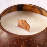 Aromatherapy Candles Manufacturer - Luxury Novelty Aroma Coconut Shell Home Fragrance