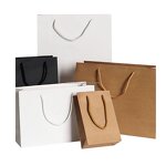 Paper Shopping Bag Manufacturer - Logo Print Promotional with Handle Bag