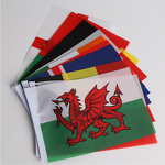 Handheld Flags Manufacturer - Custom Logo Polyester Sublimation Printed with Stick