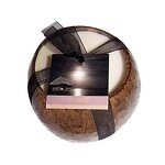 Aromatherapy Candles Manufacturer - Luxury Novelty Aroma Coconut Shell Home Fragrance