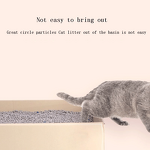 Cat Litter Factory - Custom Eco Friendly Premium Quality Clumping Mineral