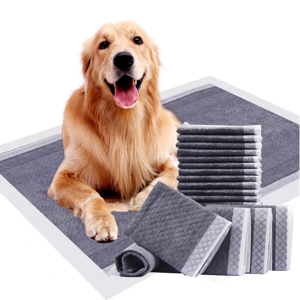 Pet Diaper Factory - New 2024 Popular Wholesale Bamboo Pet Diaper Underpad