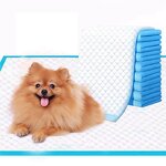 Puppy Pee Pads Factory - Super Absorbent Leak-proof Pet Training Pad