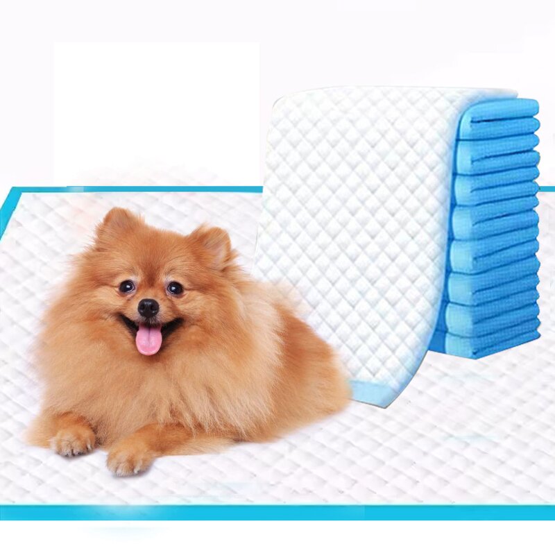 Puppy Pee Pads Factory - Super Absorbent Leak-proof Pet Training Pad