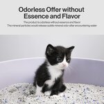 Cat Litter Factory - Custom Eco Friendly Premium Quality Clumping Mineral